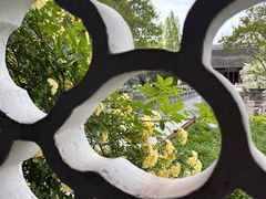 -苏州文庙(姑苏区)