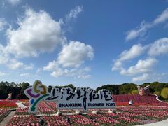 -上海鲜花港