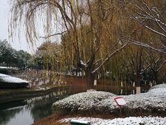 景点-白塘生态植物园