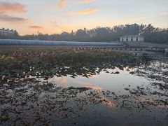 -党河风情线国家水利风景区