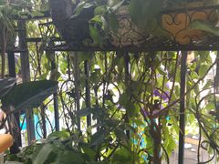 -左撇子私房面