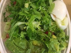 -油梨树 AVOCADO TREE(亮马桥店)