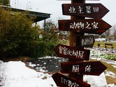 -田园东方蜜桃村的田野营地