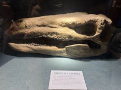 -大连圣亚海洋世界