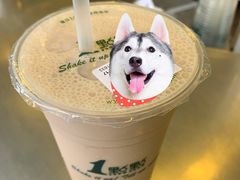 -1点点(环城北路店)