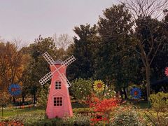 -上海共青森林公园