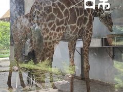 -南昌动物园