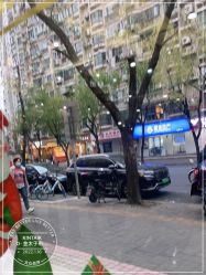-金太子形象设计