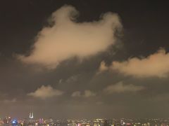 -FLAIR顶层餐厅酒吧(浦东丽思卡尔顿酒店)