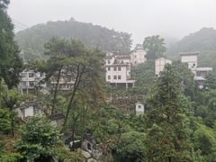 -南山植物园