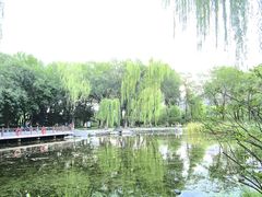 -玲珑塔公园