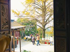 -佛荫寺