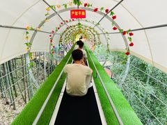 -藏龙百瀑风景区