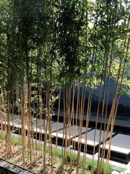 -爱儿美儿童摄影(朝阳公园店)