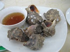 海螺-海岛渔村大酒店(云霄路店)