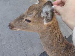 -养云安缦吧THE BAR