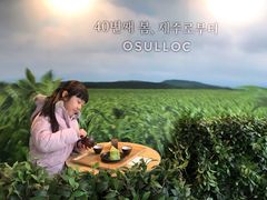 -雪绿茶博物馆