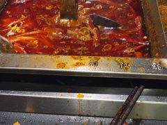 -蜀江龙火锅(339店)
