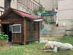 -西酒时光(恒福店)