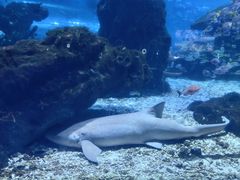 -海合安武汉极地海洋公园