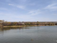 -西安浐灞国家湿地公园