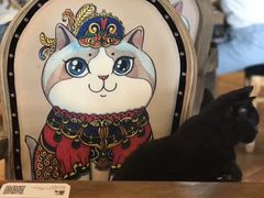 -more than meow吴止猫主题餐厅(承德 中船汇店)