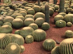 -南通洲际绿博园