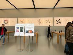 -Apple零售店(成都太古里店)