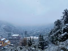 -树山生态村