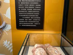 -浙江自然博物院(杭州馆)
