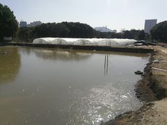 -胜丰草莓采摘园