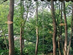 -西郊宾馆·1921餐厅