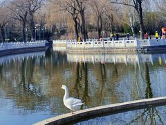 -丰台花园
