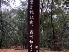 -岳麓山风景名胜区