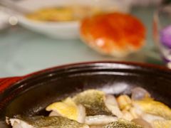 -金轩中餐厅 Jin Xuan(浦东丽思卡尔顿酒店)