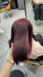 点击看大图 -藤野造型