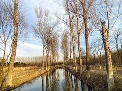 -东郊湿地公园
