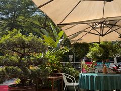 -山水茶艺馆·点心粤菜·30年老字号