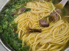-杨记拉面总店