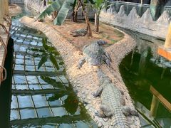 -石家庄市动物园