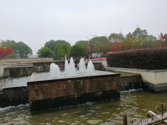 -南京国睿金陵大酒店