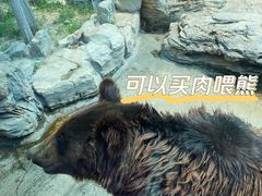 -北京野生动物园