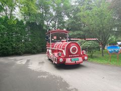 -日照海滨国家森林公园