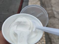 椰子雪糕-洪馨椰子