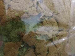 -窑滚面包专门店(马鞍山金鹰店)