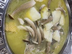 -一代菌王·竹荪鹅(江苏旗舰店)
