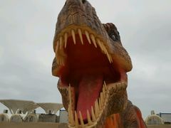 -平潭国际旅游岛·龙王头沙滩运动基地