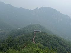 -大岭沟猕猴桃谷风景区