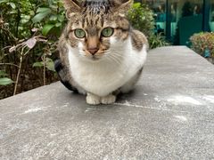 -ID.PHOTO照相馆(嘉里企业中心店)