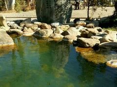 -星河温泉小镇